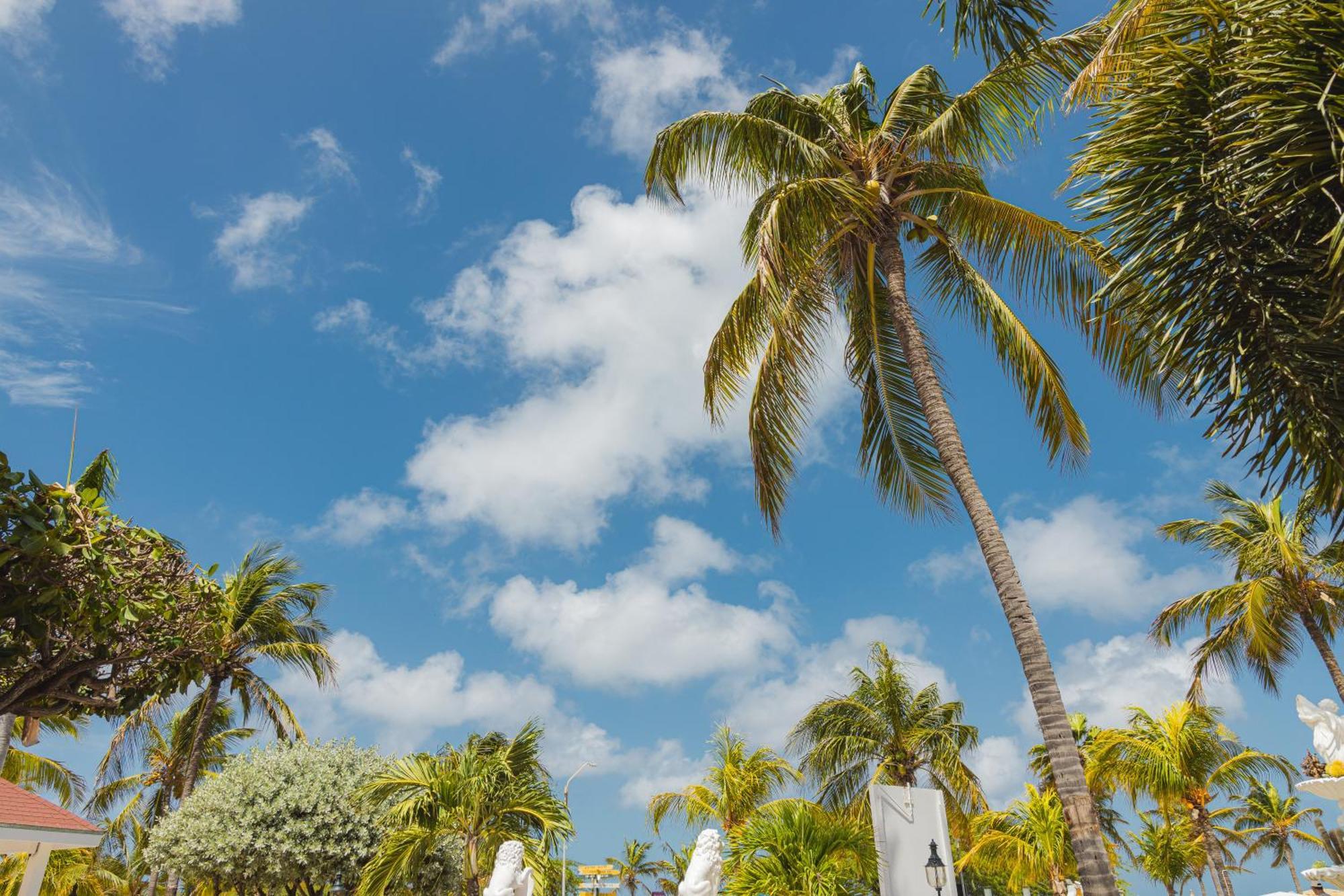 Amsterdam Manor Beach Resort Palm Beach Exterior foto